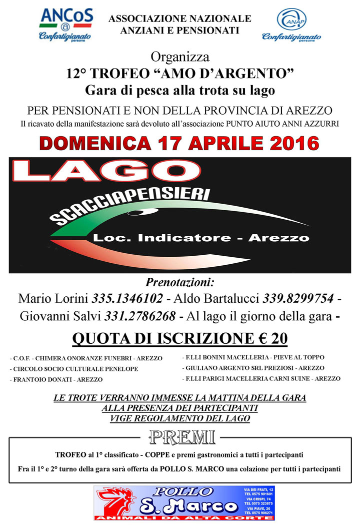 Gara-di-pesca-amo-d'argento